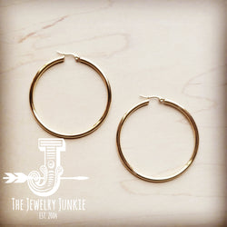 Small Gold Stainless Steel Hoop Earrings 219a